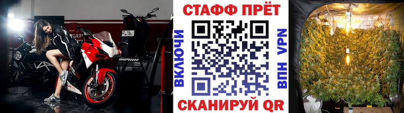 Наркошоп Киров Codein Меф ГАШ МАРИХУАНА СК Псилоцибиновые грибы