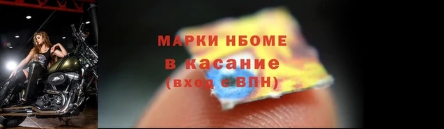 прущие грибы Алексеевка