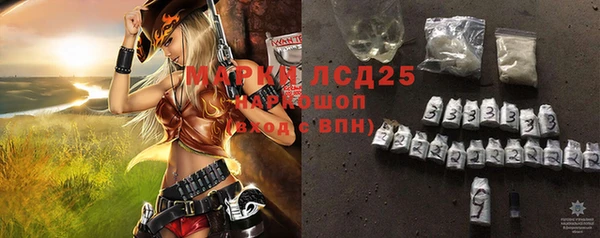 прущие грибы Алексеевка