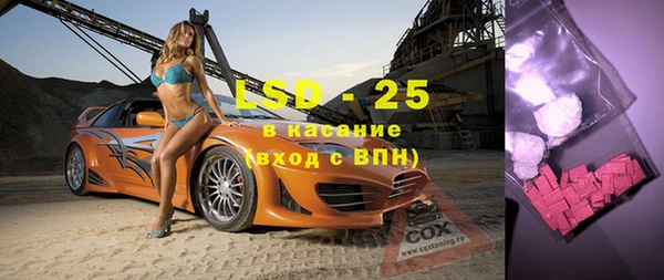 прущие грибы Алексеевка