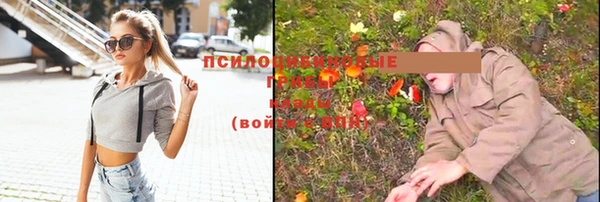 прущие грибы Алексеевка