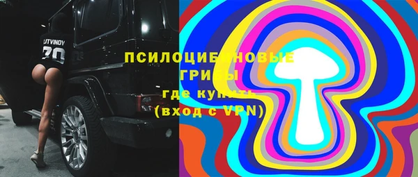круглые Алзамай