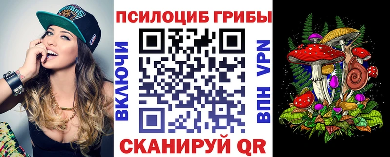 Галлюциногенные грибы Psilocybine cubensis Киров