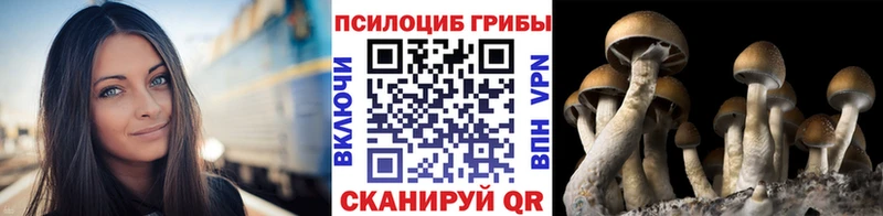 hydra маркетплейс  Киров  Псилоцибиновые грибы прущие грибы 
